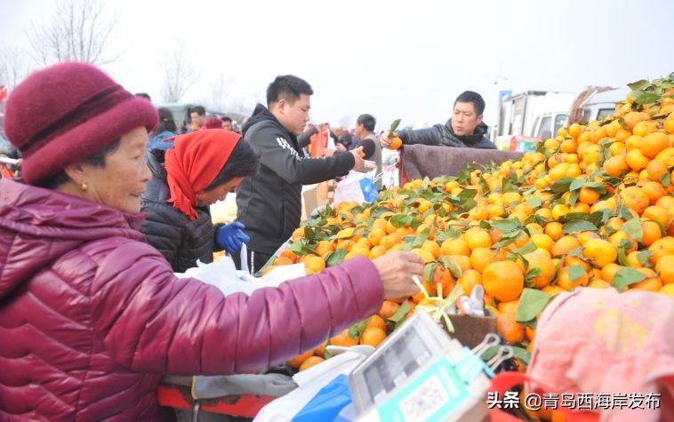 天下财经今日聚焦直播,中央电视台天下财经直播