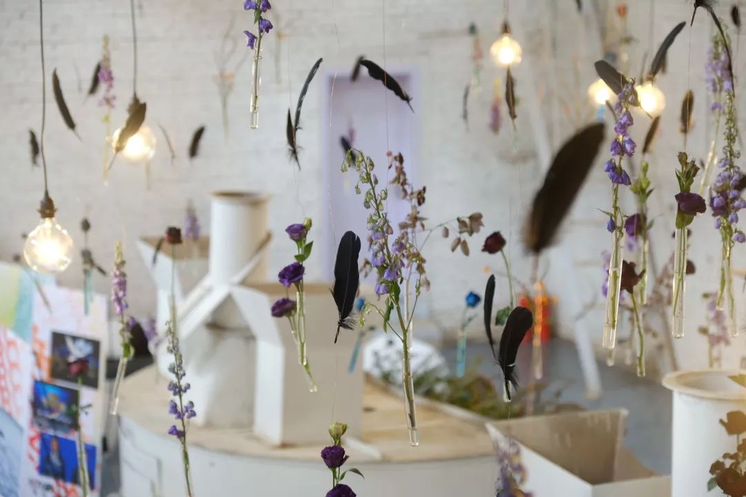 爆改废弃工厂，看三个姑娘如何施展植物魔法