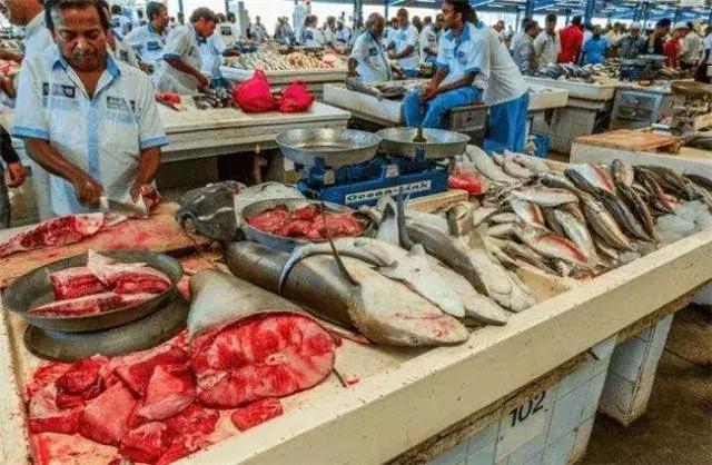 迪拜跟沙特谁有钱,迪拜到底有多有钱