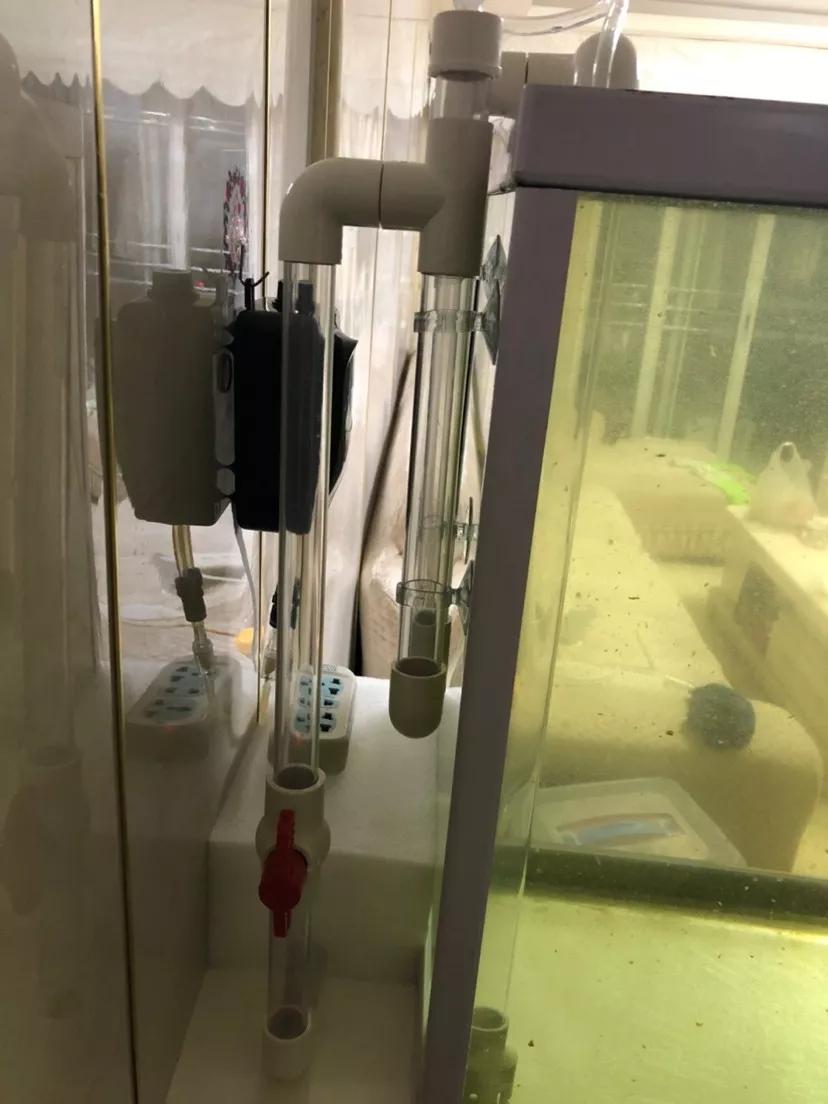 顶滤鱼缸怎样改成底部过滤,养鱼老道底滤改造