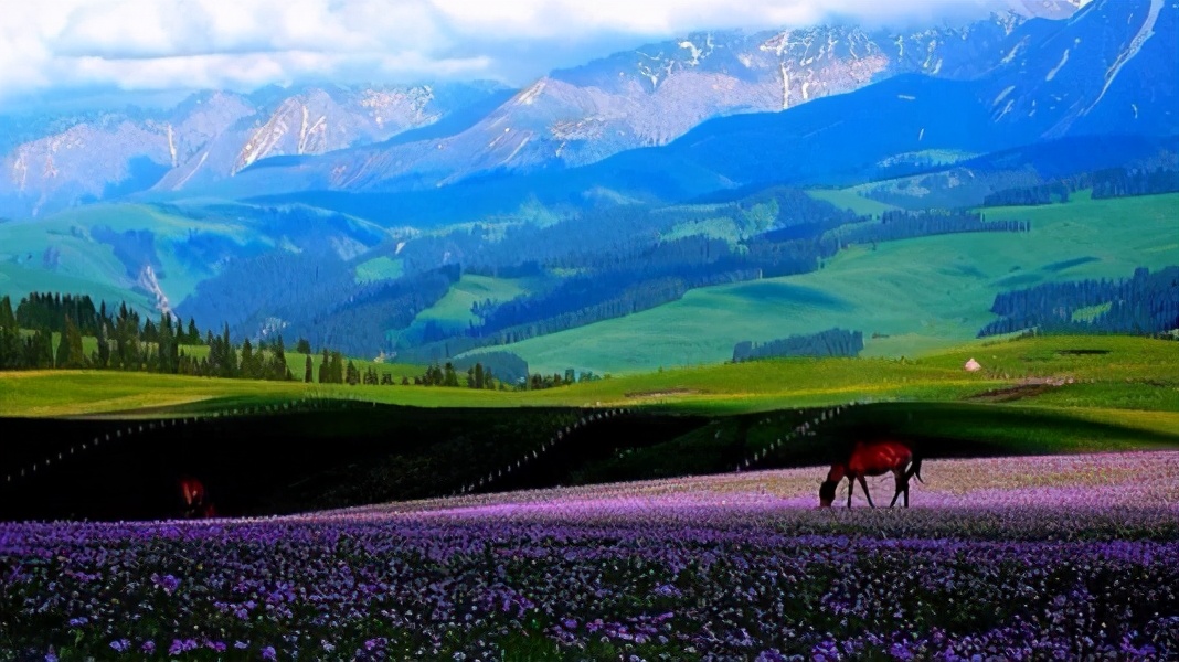 论起*疆新**与俄罗斯的渊源，你品，你细品