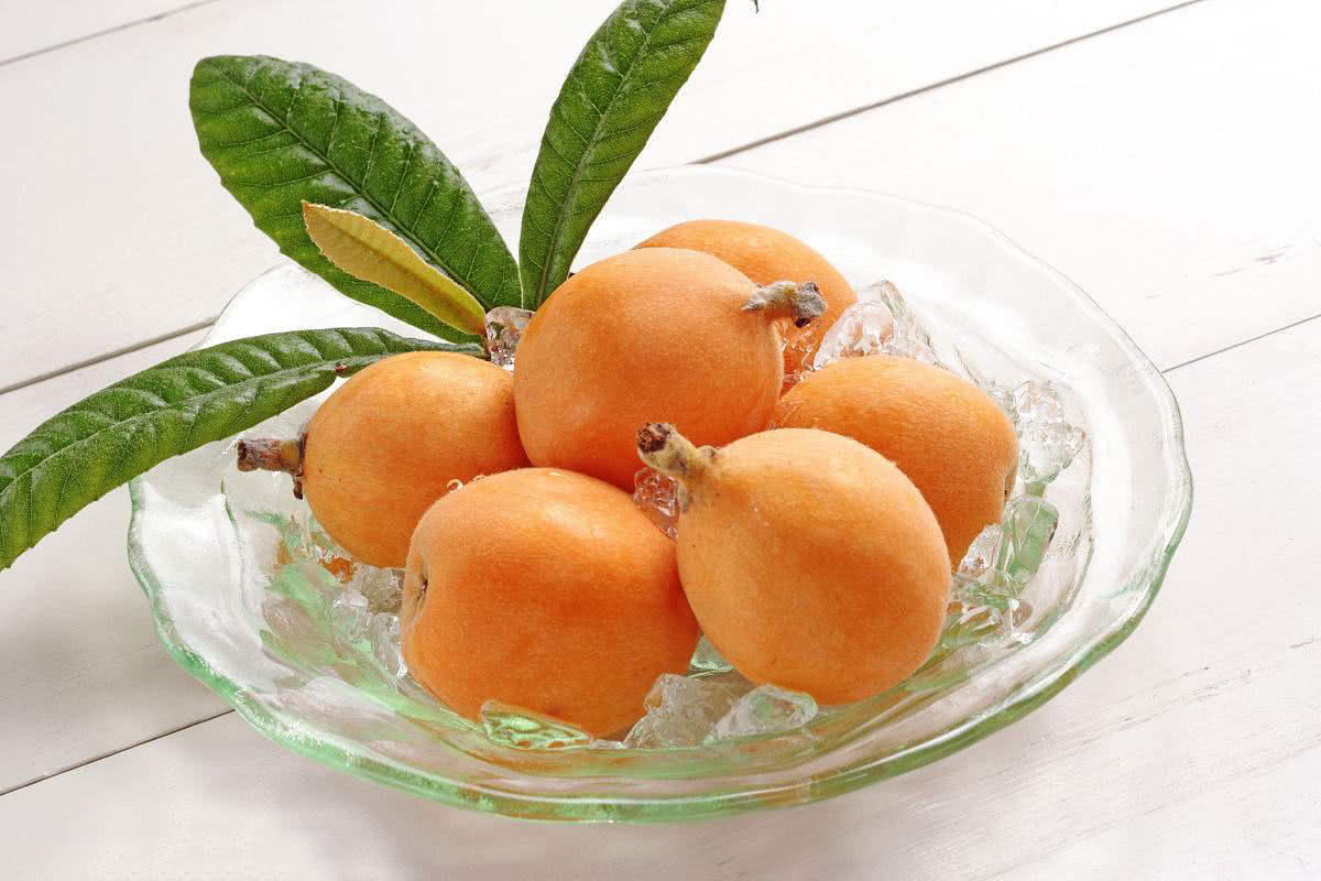 处暑节气养生小常识大全,处暑节气的活动及养生方法