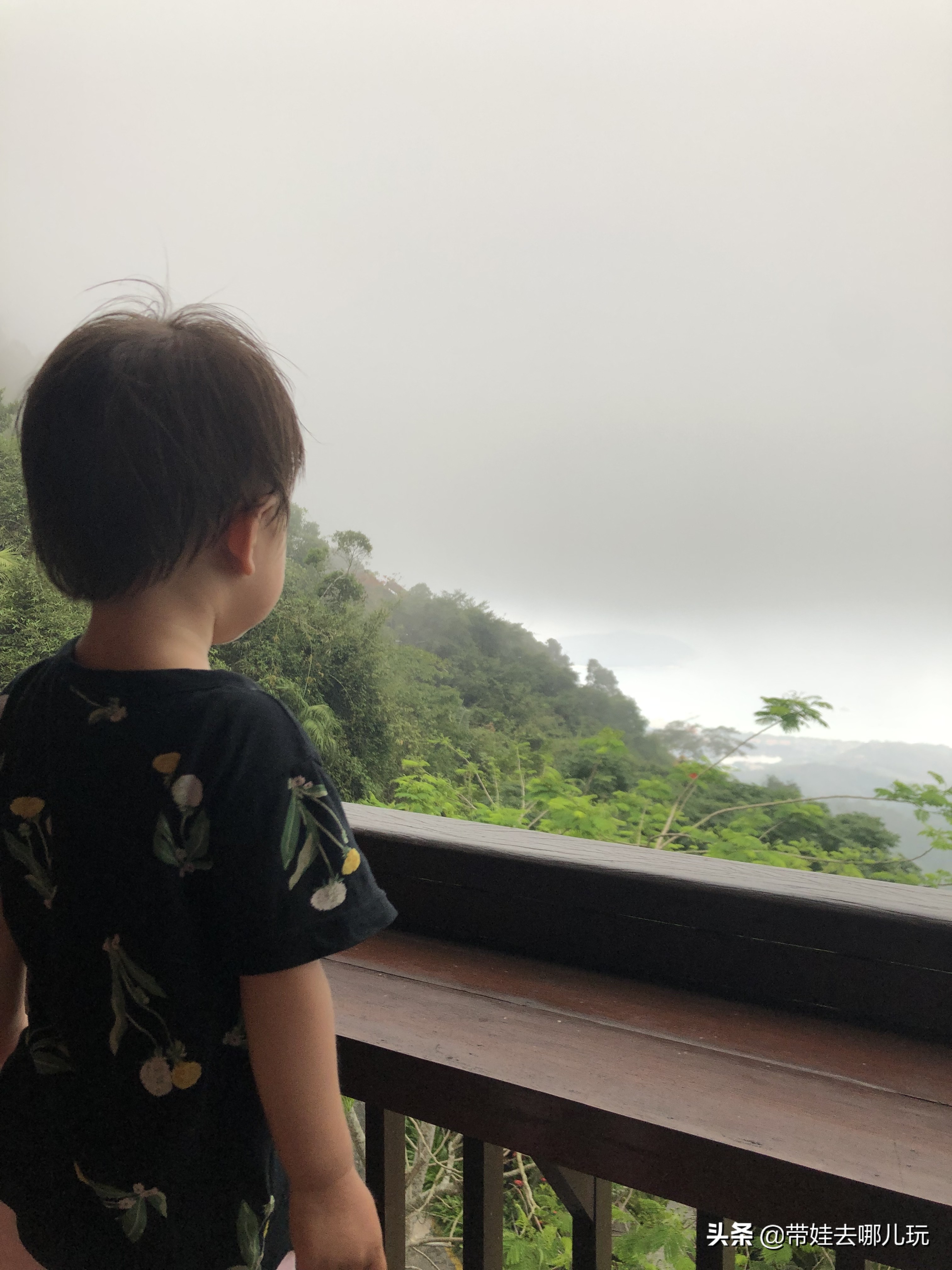 住三亚亚龙湾鸟巢酒店,亚龙湾森林热带天堂非诚勿扰