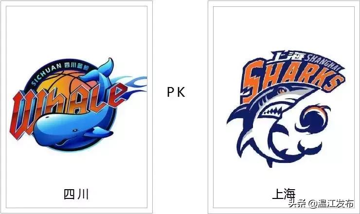 四川男篮cba2024赛季,四川男篮cba赛场