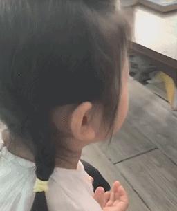 儿童最喜欢看的抖音玩具,儿童必备最近抖音网红玩具