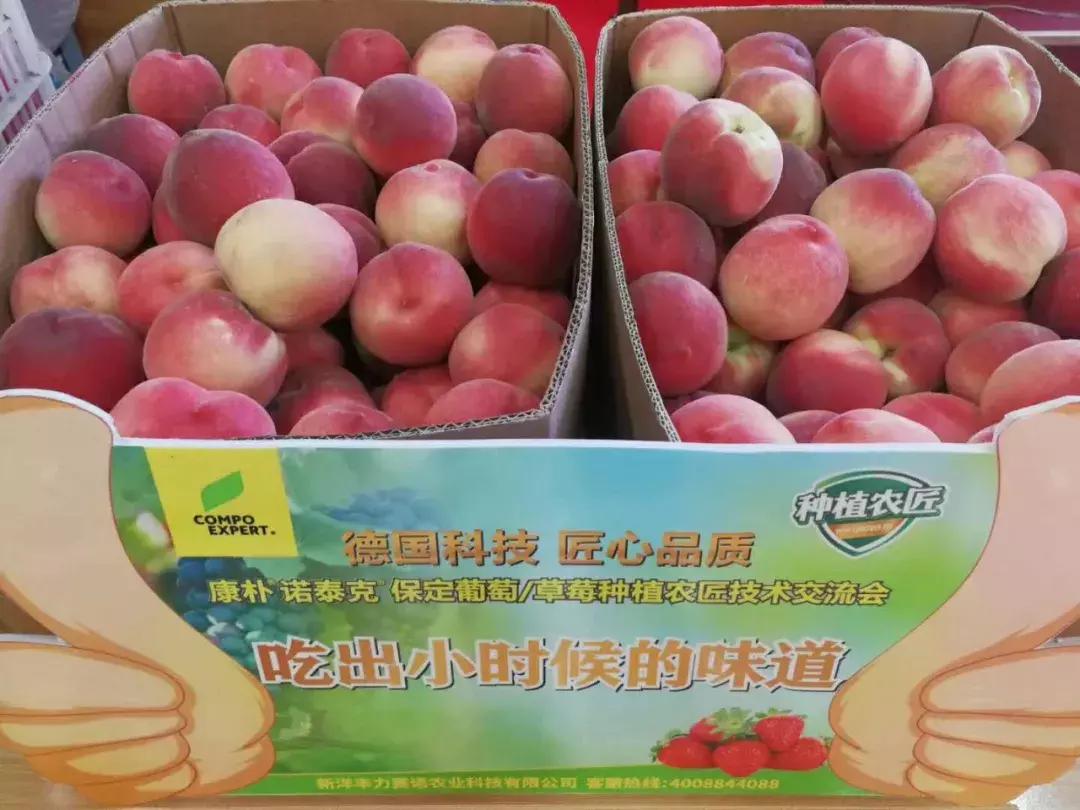 德国康朴诺泰克水溶肥有限公司,康朴诺泰克复合肥效果好吗