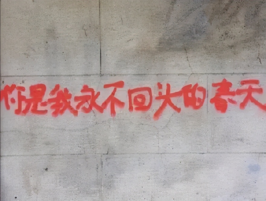 原来钢铁直男都会说情话,钢铁直男反击女生的土味情话