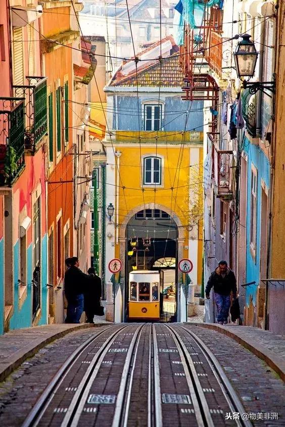 去了非洲才知道，人类才只是这个世界的过路者