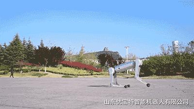 轻量级智能机器狗,最新款智能机器狗推荐