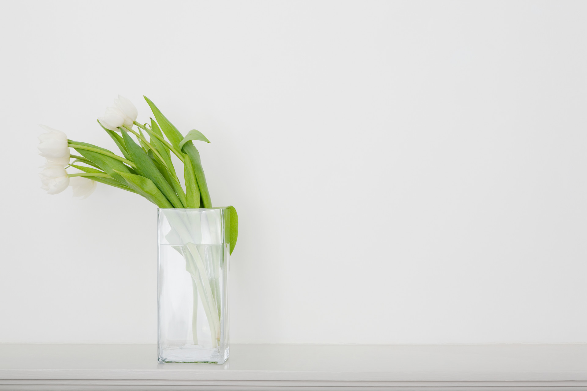 成大事之人必经人生之苦,不经历人生低谷怎么懂得人情世故