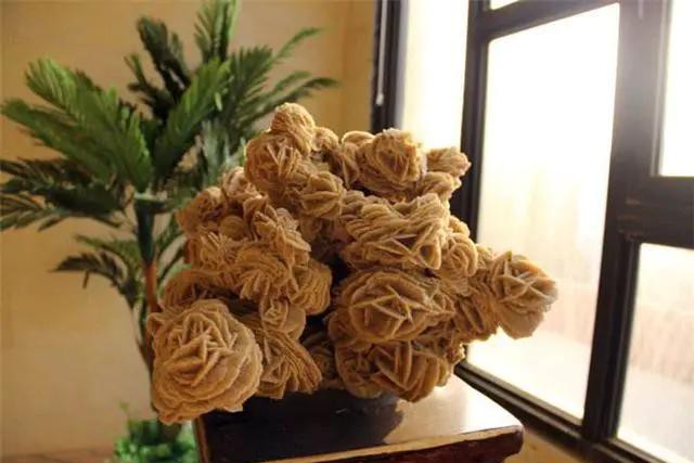 沙漠中看到石头为什么一定要捡,沙漠中看到石头为啥要捡