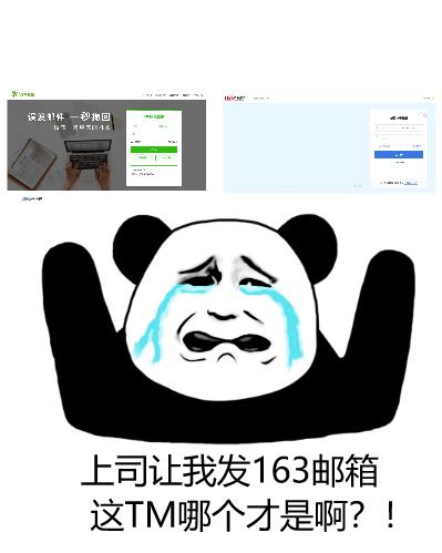 163.net与163.com，都姓163，却不是一个妈