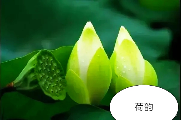 芒种种出新希望,芒种和幸福播种