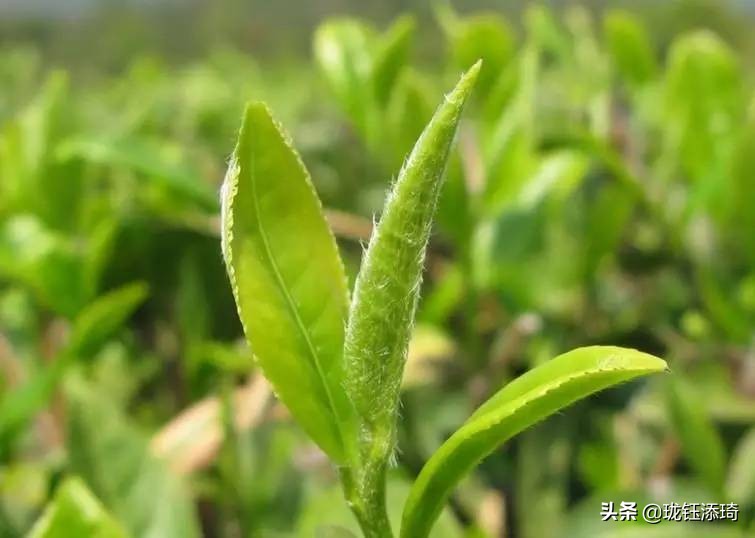 全国各地的特点产品,各省市的特点