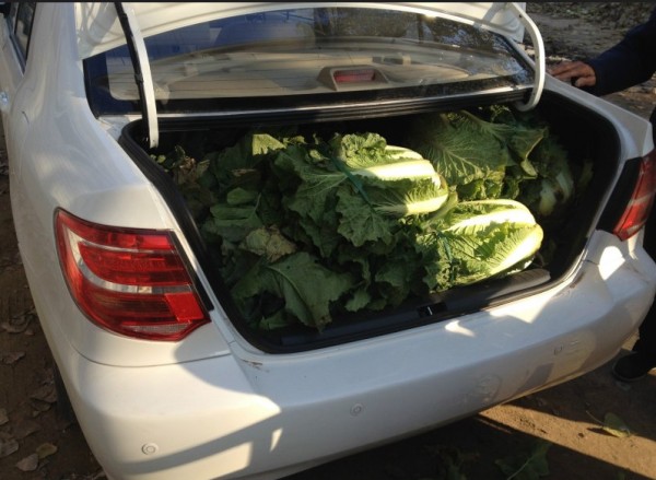 最值得入手的平民车,什么车买二手车性价比最高