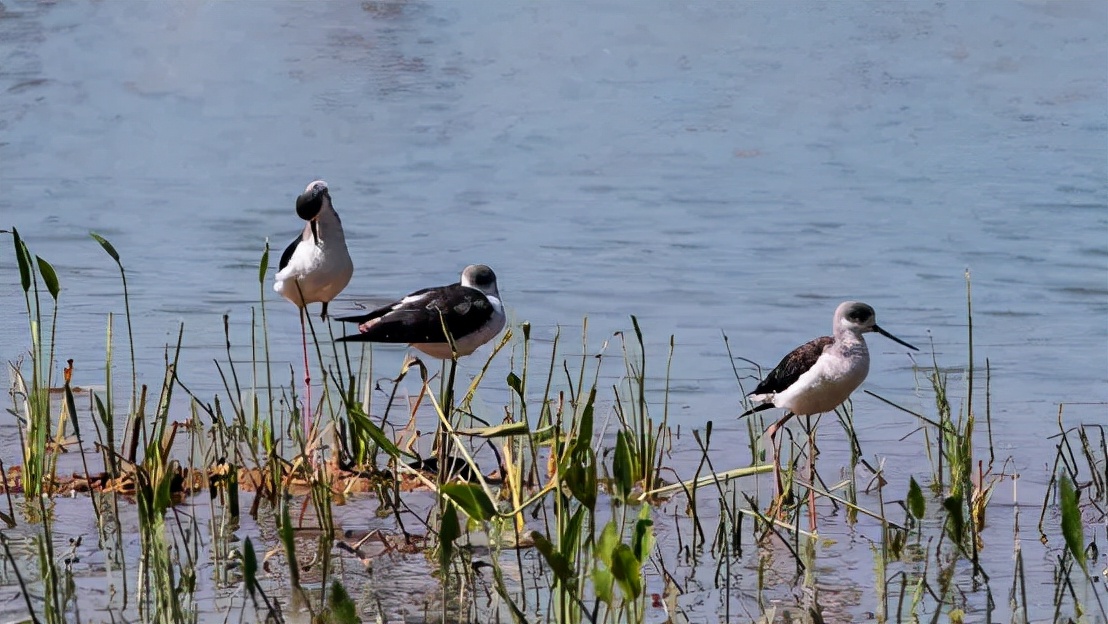 深圳疾控中心最新提醒流感,深圳疾控最新提醒
