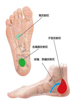 足疗可以治疗妇科病吗,十种治疗妇科的方法