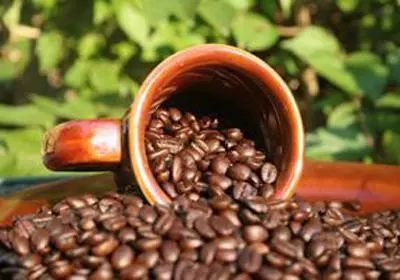 一般咖啡有哪几种咖啡,常见的十种咖啡