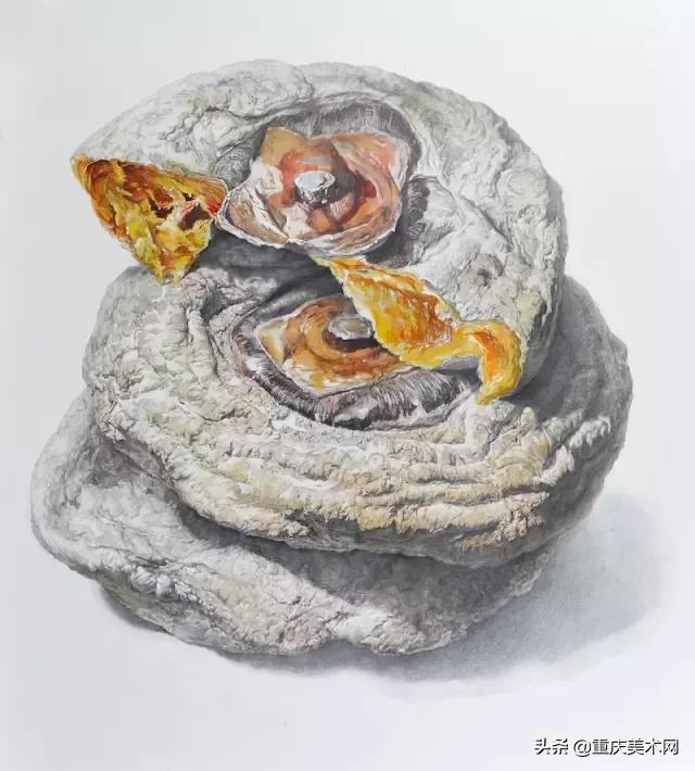 中央美术学院精微素描,中央美术学院全国素描第一名