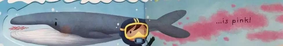 孩子感兴趣的永远是屎尿屁绘本,屎尿屁绘本好吗