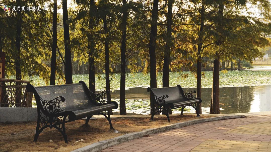 速来！园博苑有让*欲人**罢不能的季相变化之美，还有众多萌物陪伴你~