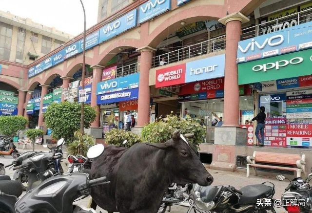 世界互联网的未来在印度，但已被中国“接管”……