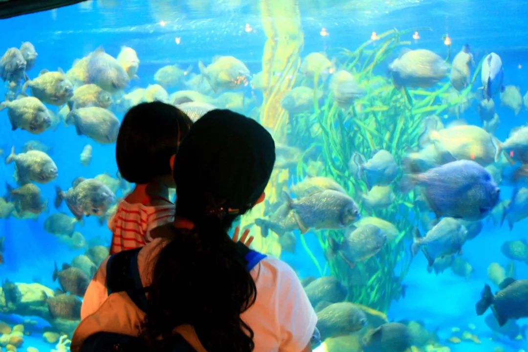 成都宝妈：孩子征服世界的第一站