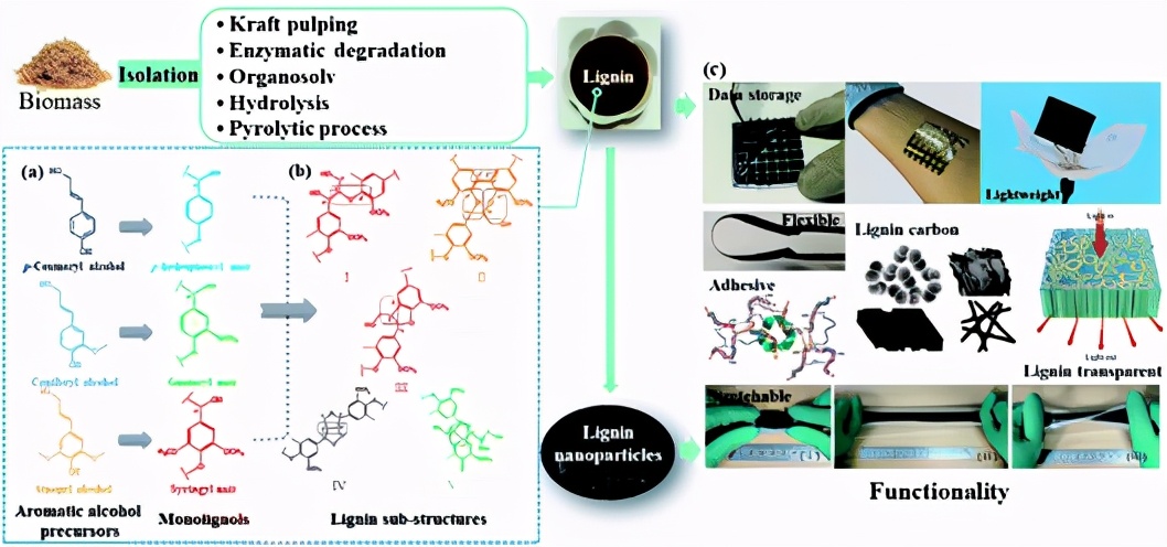 全纤维素超级电容器,木质素气凝胶超级电容器