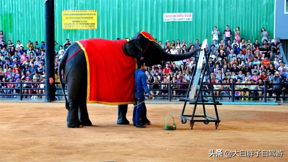 泰国风情之旅完整版,泰国风情记