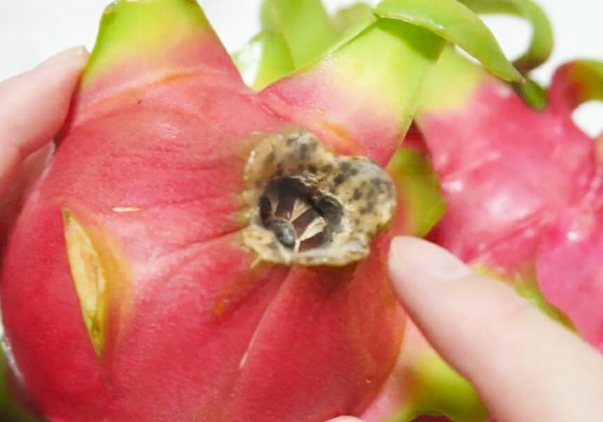 火龙果甜不甜看着就知道了,如何判断火龙果甜不甜