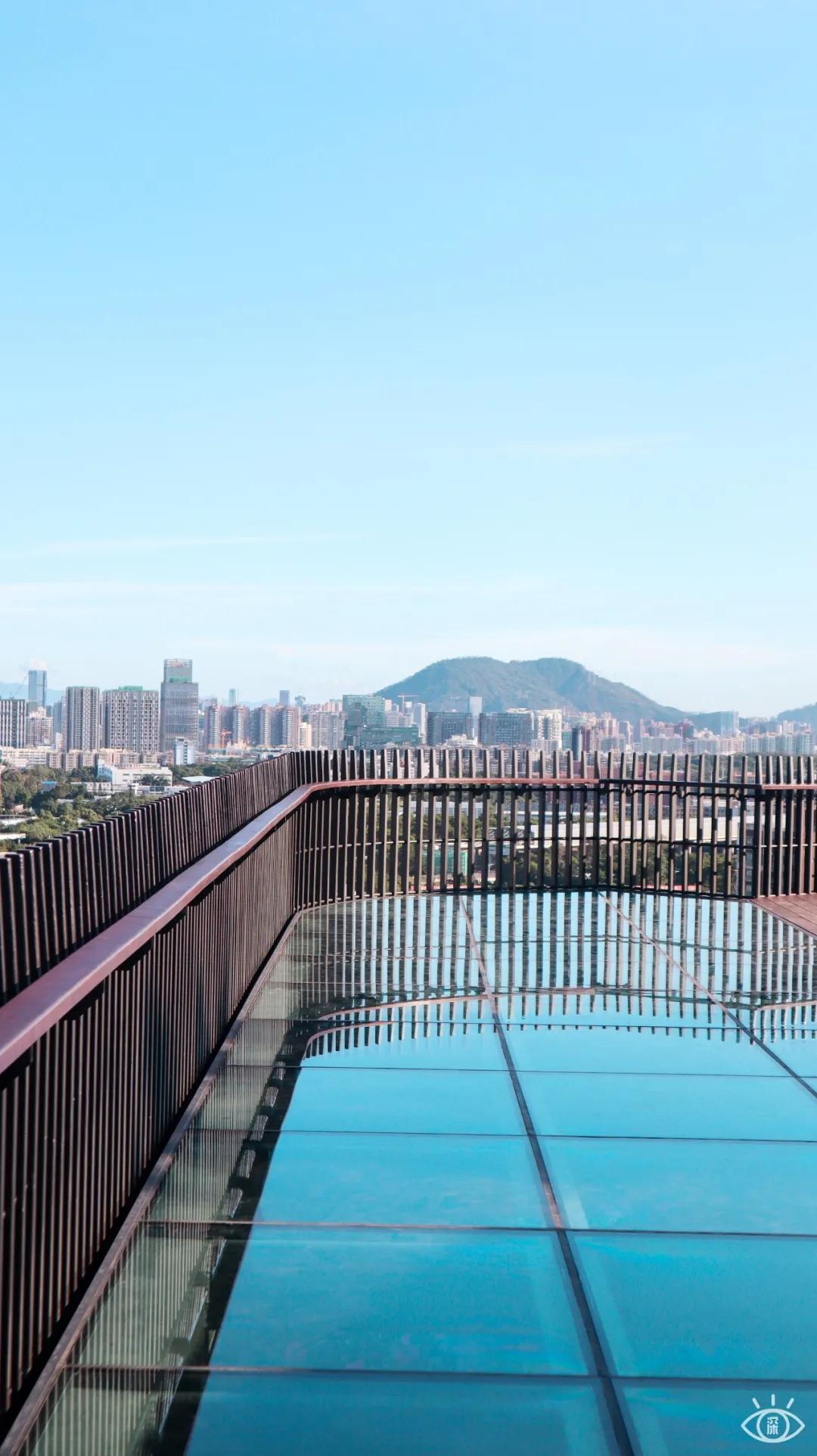 深圳西丽玻璃栈道,深圳海滨栈道重新开放