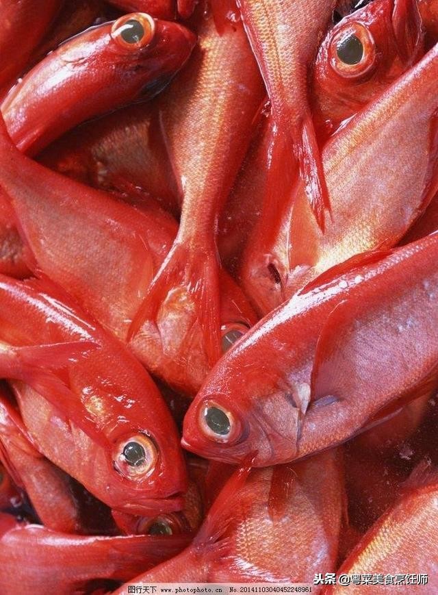 名贵海鲜食材排名,名贵海鱼大全图片