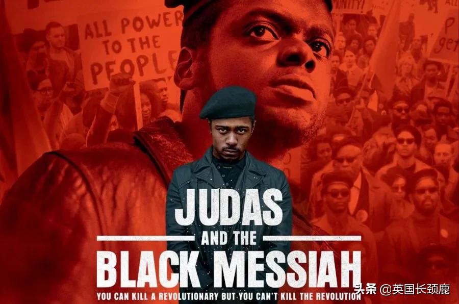 哥斯拉大战黑寡妇免费完整版,哥斯拉三大怪兽大战黑寡妇