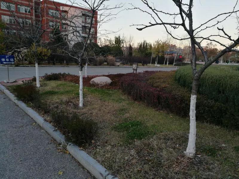 抚顺市第二中学地址,辽宁高级中学