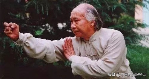 用肩打人用胯走路,用肘的拳法打人叫什么