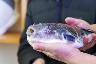 7-8月份推荐海岛旅游,秋天适合旅游的海岛