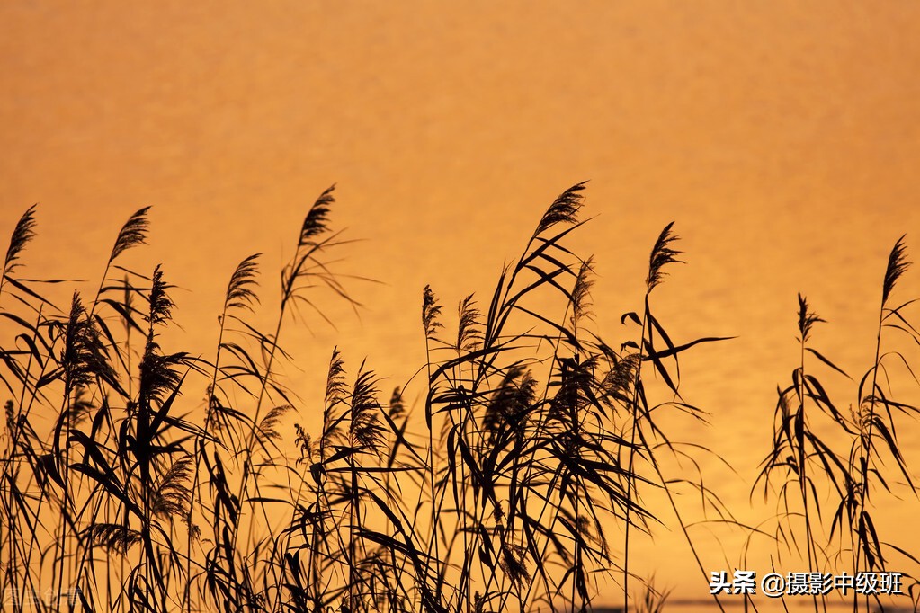 拍摄日落的技巧有哪些方法,拍摄日落有什么技巧