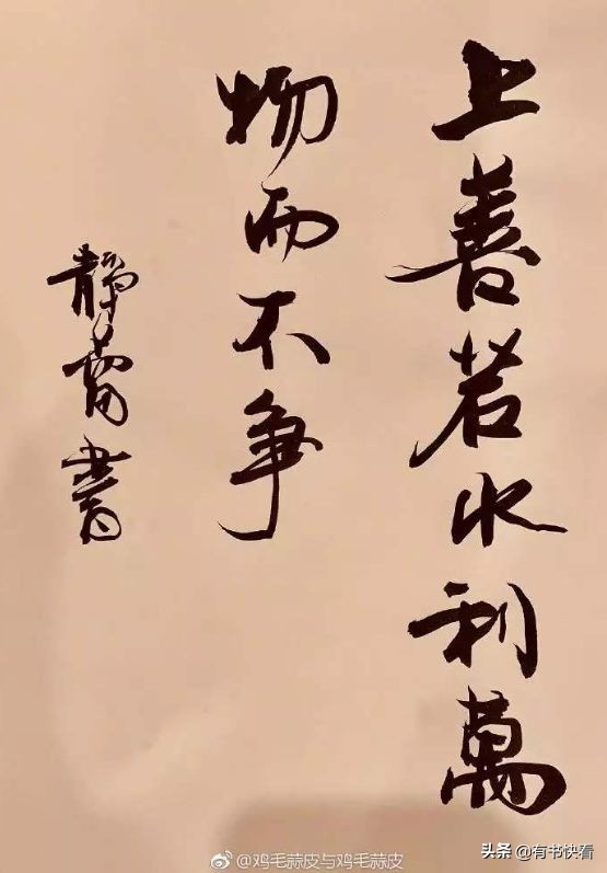 45岁徐静蕾简介,46岁徐静蕾水彩书法