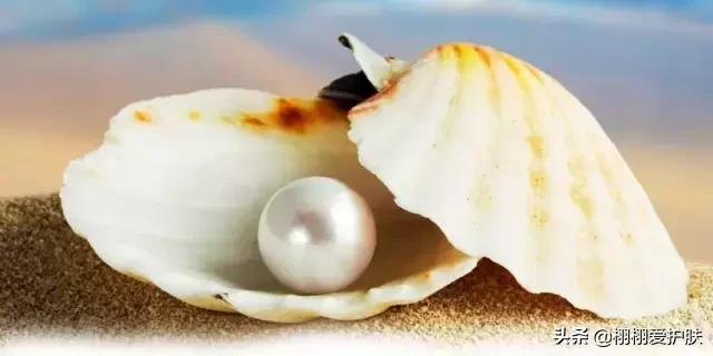 珍珠粉美白的原理,珍珠粉可以美白淡斑吗