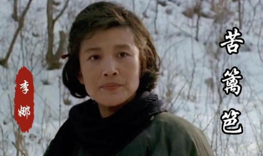 李娜青藏高原为何无人能超越,唱青藏高原的李娜近况如何