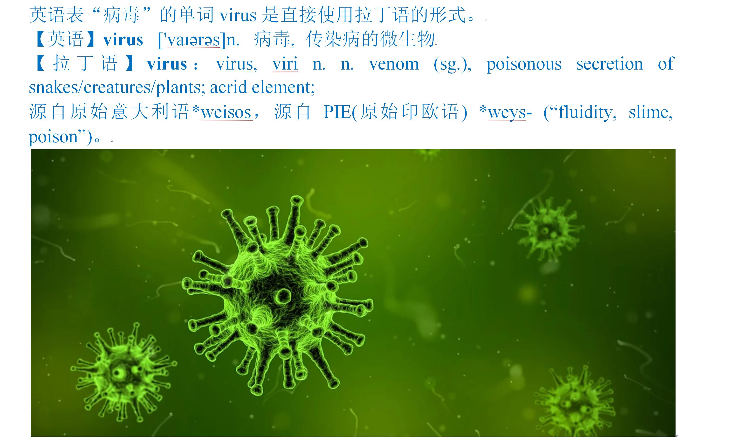 冠状病毒英文名,新型冠状病毒英语单词高中