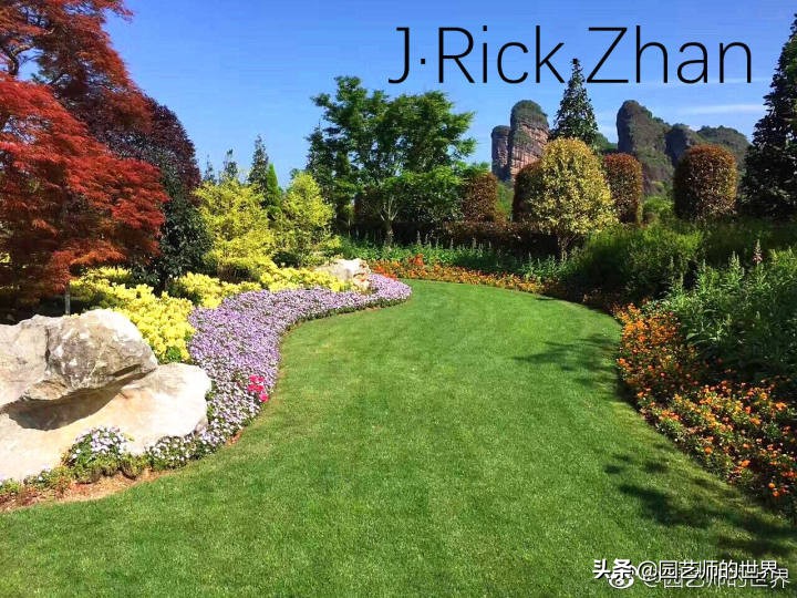 高尔夫果岭草坪家庭院子种植,麦冬草坪种植方法和注意事项