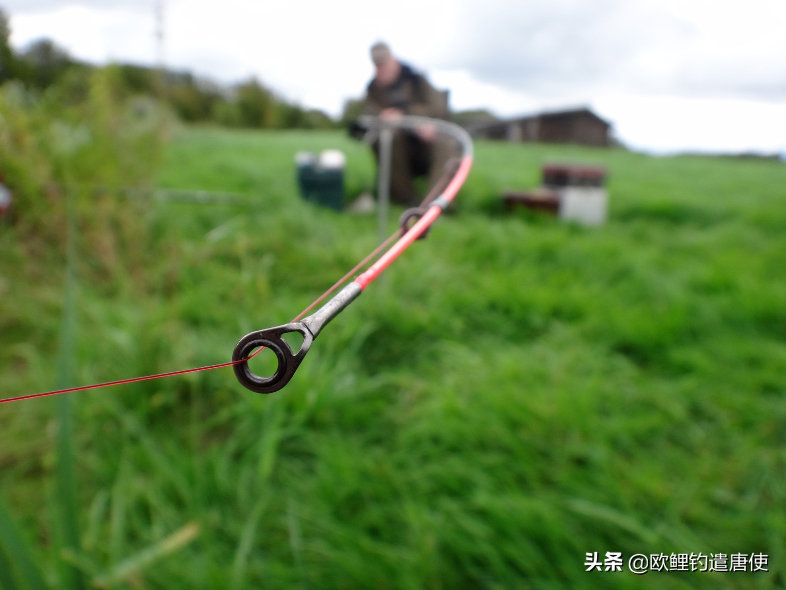 欧鲤钓组单柄鱼钩绑法,欧鲤钓组挂浮珠还是挂玉米
