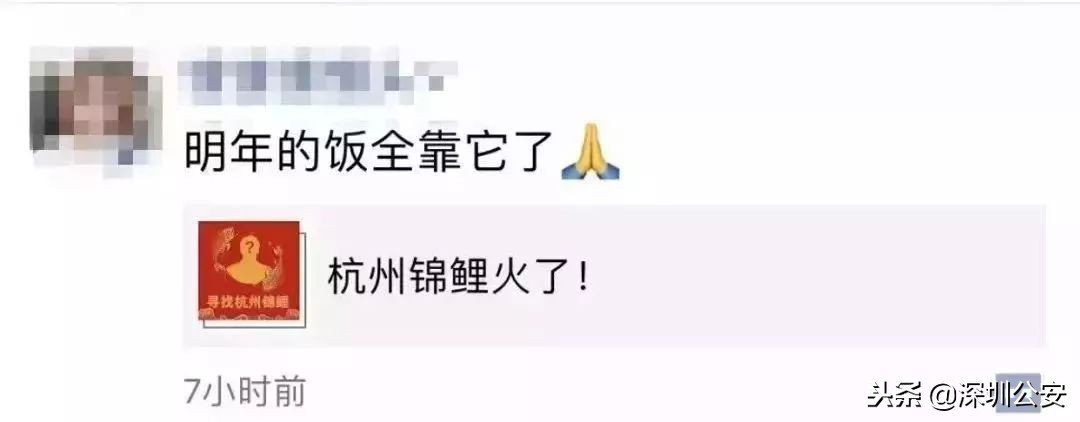 深圳警讯｜当心“锦鲤*局骗**”！你看上了奖品，*子骗**盯上了你的个人信息