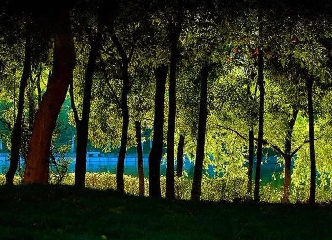 昆明五大免费景点游玩指南全攻略,昆明旅游必看景点有哪些免费的