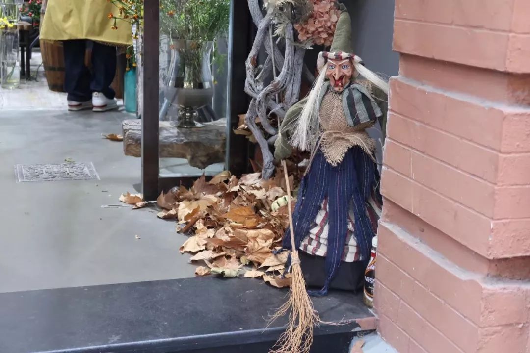 魔都网红马路视频,魔都值得散步的马路