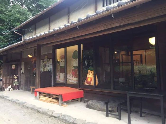 日本都是招财猫的寺庙,猫咪古灵精怪的寺庙