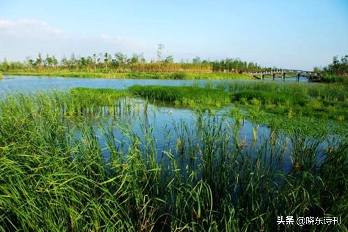 「黎明拾穗」43期诗词41首，首页篇篇造网红，风流戏子逞英雄