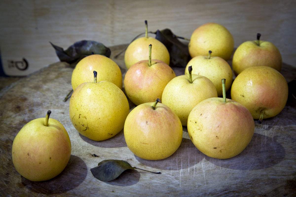 怀孕吃什么水果好胎儿皮肤白,怀孕吃什么水果胎儿长得漂亮