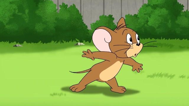 冬月初一老祖宗留下来的谚语,老祖宗说老鼠年